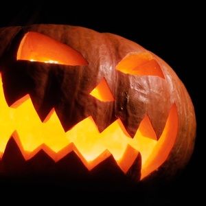 Meet your Posher, Elyse